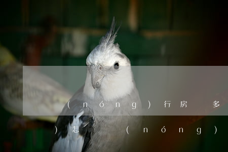 農(nóng)行房貸多次逾期會(huì)怎樣(農(nóng)商銀行貸款逾期一天會(huì)影響貸款嗎)
