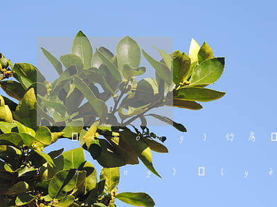 農(nóng)行房貸晚幾天算逾期嗎 農(nóng)業(yè)銀行房貸晚還一天算逾期嗎,會(huì)上征信嗎