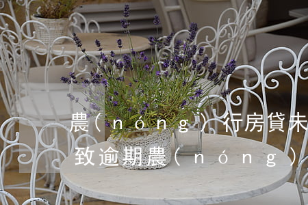 農(nóng)行房貸未通知導(dǎo)致逾期(農(nóng)信逾期房貸)