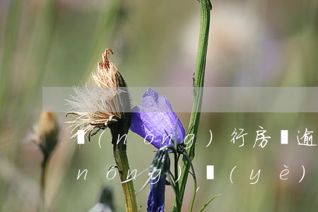 農(nóng)行房貸逾期2天扣款后(農(nóng)業(yè)銀行房貸款逾期了2天怎么辦會(huì)罰息嗎)