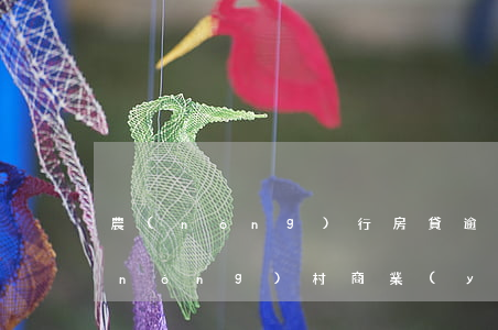 農(nóng)行房貸逾期一天上征信(農(nóng)村商業(yè)銀行房貸逾期一天會上征信嗎)