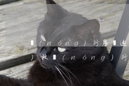 農(nóng)行房貸逾期一天的補(bǔ)救(農(nóng)行貸款逾期一天后果是什么,怎么補(bǔ)救)
