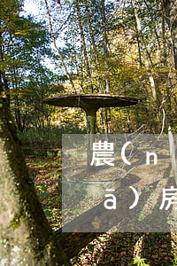 農(nóng)行房貸逾期上征信浦發(fā)(房貸逾期上征信了怎么辦)