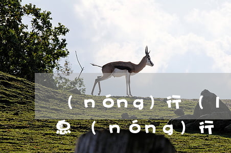 農(nóng)行樂(lè)分卡信用卡利息 農(nóng)行樂(lè)分卡利率多少