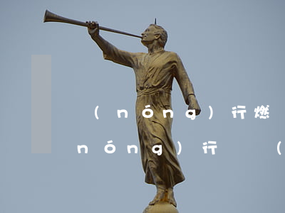 農(nóng)行燃夢信用卡能透支嗎(農(nóng)行銀聯(lián)燃夢信用卡怎么樣?)
