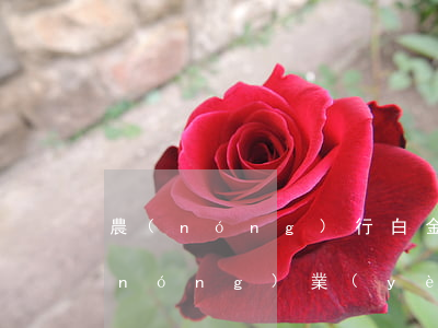 農(nóng)行白金信用卡可以透支(農(nóng)業(yè)銀行信用卡透支)