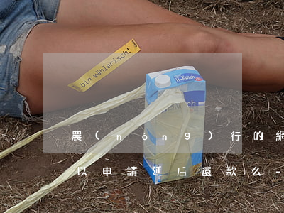 農(nóng)行的網(wǎng)捷貸可以申請延后還款么-農(nóng)行的網(wǎng)捷貸可以申請延后還款么嗎