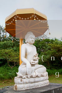 農(nóng)行短信提示還款逾期(農(nóng)業(yè)銀行貸款還款短信通知嗎)