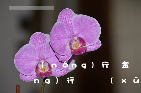 農(nóng)行稅金貸延期還款(農(nóng)行稅貸續(xù)貸)