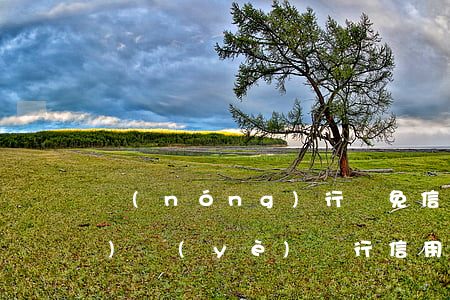 農(nóng)行終免信用卡（農(nóng)業(yè)銀行信用卡逾期減免多少）