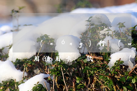 農(nóng)行網(wǎng)捷貸可以用信用卡還款嗎-農(nóng)行網(wǎng)捷貸可以用信用卡還款嗎安全嗎