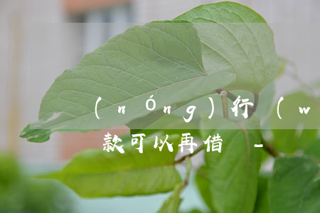 農(nóng)行網(wǎng)捷貸提前還款可以再借嗎-