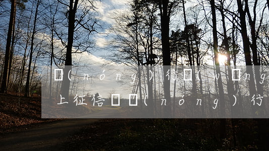 農(nóng)行網(wǎng)捷貸逾期上征信嗎(農(nóng)行網(wǎng)捷貸逾期多長時間起訴)