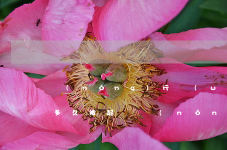 農(nóng)行網(wǎng)捷貸逾期多久被起訴 農(nóng)行網(wǎng)捷貸逾期被法院起訴了怎么辦