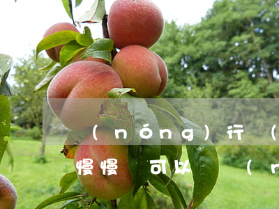 農(nóng)行網(wǎng)捷貸逾期慢慢還可以嗎(農(nóng)行的網(wǎng)捷貸逾期了怎么辦)