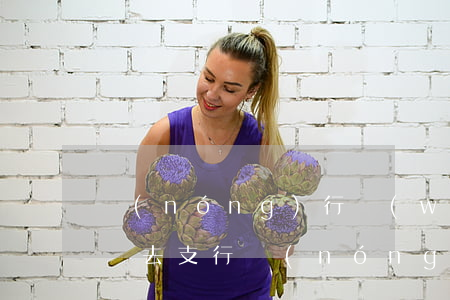農(nóng)行網(wǎng)捷貸逾期約去支行(農(nóng)行網(wǎng)捷貸逾期3個月,銀行會上門嗎)