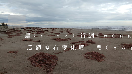 農(nóng)行網(wǎng)捷貸還款后額度有變化嗎-農(nóng)行網(wǎng)捷貸還款后額度有變化嗎怎么辦