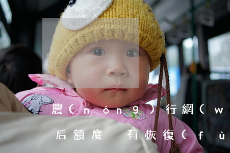 農(nóng)行網(wǎng)捷貸還款后額度沒有恢復(fù)-