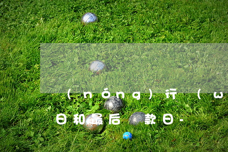 農(nóng)行網(wǎng)捷貸還款日和最后還款日-