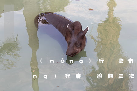 農(nóng)行貸款有一次逾期(農(nóng)行房貸逾期三次不是連續(xù)逾期會怎么樣)