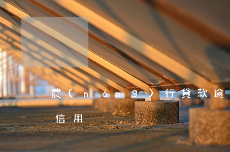 農(nóng)行貸款逾期3個(gè)月信用