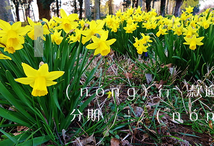 農(nóng)行貸款逾期了可以和銀行申請分期嗎-農(nóng)行貸款逾期了可以和銀行申請分期嗎