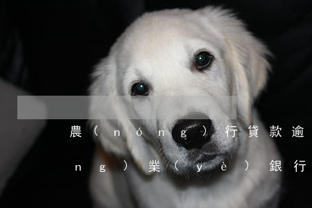 農(nóng)行貸款逾期兩個月(農(nóng)業(yè)銀行貸款逾期了兩天會有不良記錄嗎)