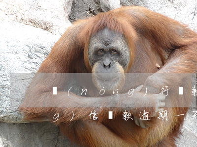 農(nóng)行貸款逾期四天(農(nóng)信貸款逾期一天)