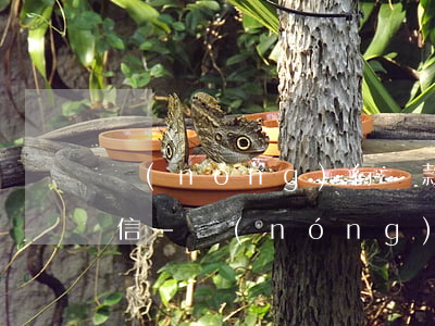 農(nóng)行貸款逾期多長時間會上征信-農(nóng)行貸款逾期多長時間會上征信黑名單