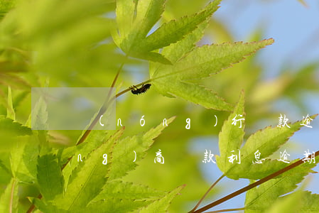農(nóng)行貸款逾期幾分錢(農(nóng)商貸款利息逾期一天怎么辦)