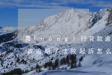 農(nóng)行貸款逾期會起訴嗎(銀行貸款逾期了法院起訴怎么執(zhí)行)