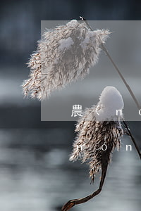 農(nóng)行貸款逾期證明怎么開(農(nóng)行貸款逾期證明怎么開)
