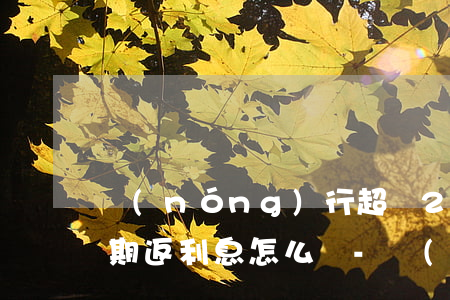 農(nóng)行超過20號(hào)逾期返利息怎么辦-農(nóng)行逾期20天
