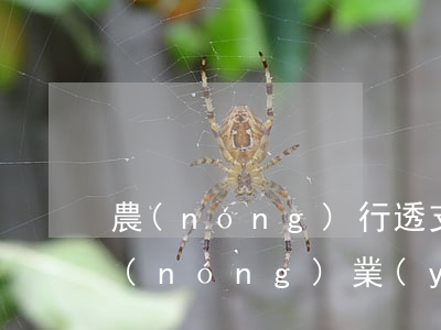 農(nóng)行透支額度最大的信用卡(農(nóng)業(yè)銀行信用卡5000額度可以透支多少)