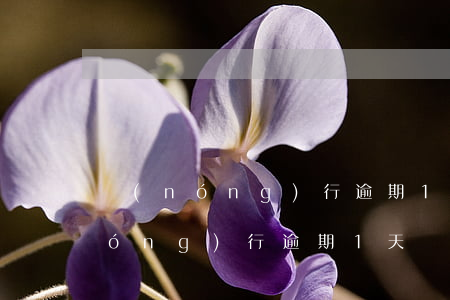 農(nóng)行逾期1天還款后果(農(nóng)行逾期1天還款后果)