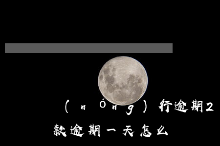 農(nóng)行逾期2天還款后果(銀行還款逾期一天怎么辦)