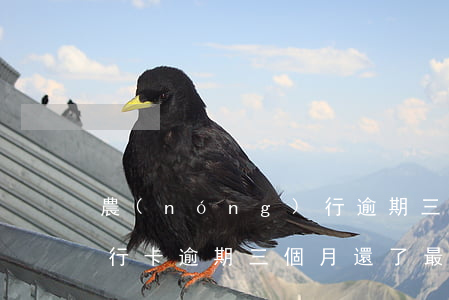 農(nóng)行逾期三個月卡還能用嗎(銀行卡逾期三個月還了最低能用嗎?)