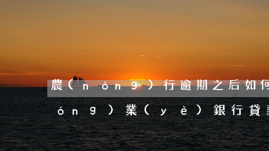 農(nóng)行逾期之后如何還款(農(nóng)業(yè)銀行貸款逾期一天怎么主動還款)