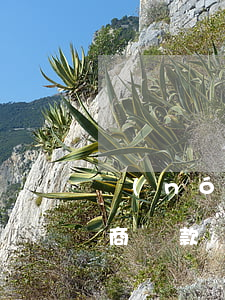 農(nóng)行逾期了怎么協(xié)商還款(農(nóng)業(yè)銀行好協(xié)商還款嗎)