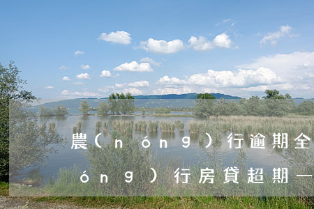 農(nóng)行逾期全額還款利息(農(nóng)行房貸超期一天還款)
