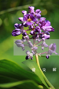 農(nóng)行逾期凍結(jié)怎么提交解凍申請(qǐng)-農(nóng)行逾期凍結(jié)怎么提交解凍申請(qǐng)材料