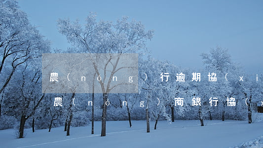 農(nóng)行逾期協(xié)商還款(農(nóng)商銀行協(xié)商還款)