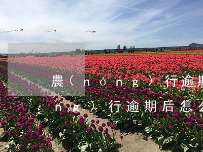 農(nóng)行逾期后怎么還款(農(nóng)行逾期后怎么還款)