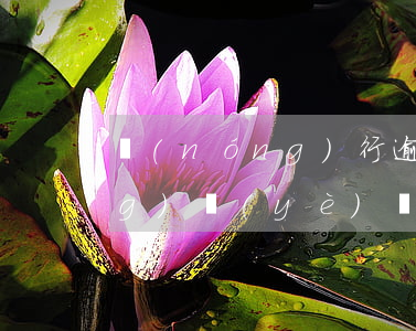 農(nóng)行逾期多久更新（農(nóng)業(yè)銀行網(wǎng)上銀行逾期怎么辦）