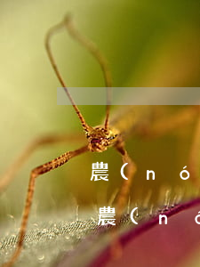農(nóng)行逾期會(huì)起訴嗎 農(nóng)商銀行的貸款逾期多少天,可以起訴