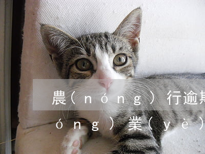 農(nóng)行逾期還款怎么辦理(農(nóng)業(yè)銀行還款怎么還)