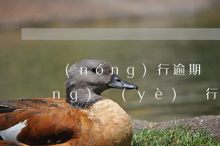農(nóng)行逾期還款怎么還(農(nóng)業(yè)銀行還款怎么還)