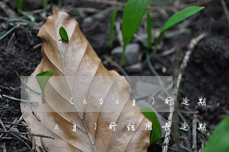 農(nóng)行逾期還款滯納金(農(nóng)行信用卡逾期還清凍結(jié)了應(yīng)該怎么辦)