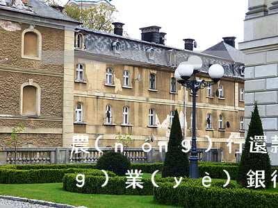 農(nóng)行還款逾期征信(農(nóng)業(yè)銀行信用貸款逾期了無法償還會怎樣)