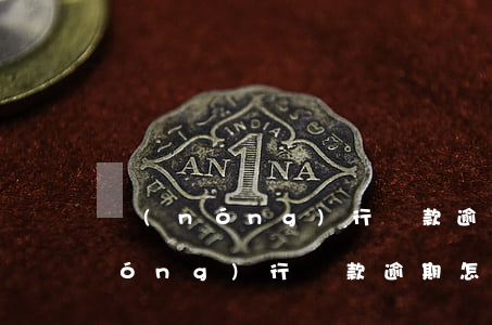 農(nóng)行還款逾期怎么處理(農(nóng)行還款逾期怎么處理)